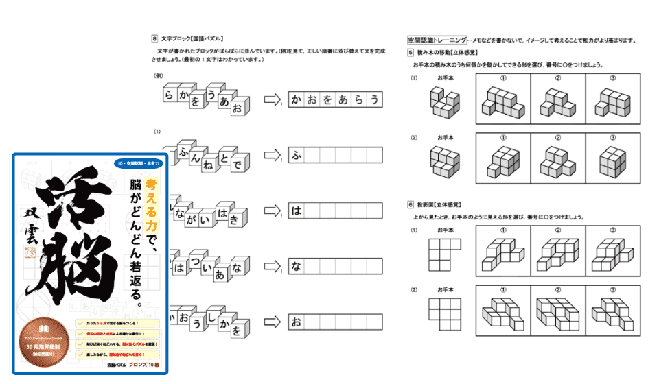 活脳パズル